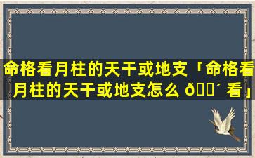 命格看月柱的天干或地支「命格看月柱的天干或地支怎么 🐴 看」